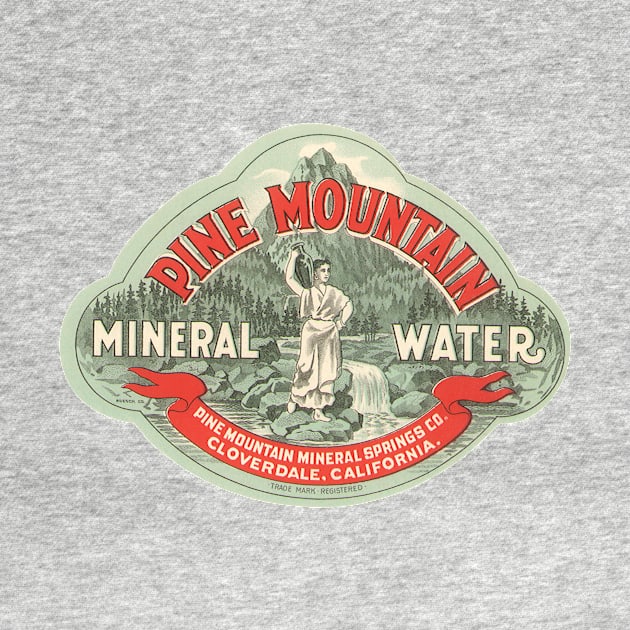 Vintage Pine Mountain Mineral Water Label by MasterpieceCafe